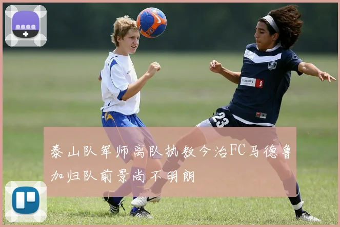 泰山队军师离队执教今治FC马德鲁加归队前景尚不明朗